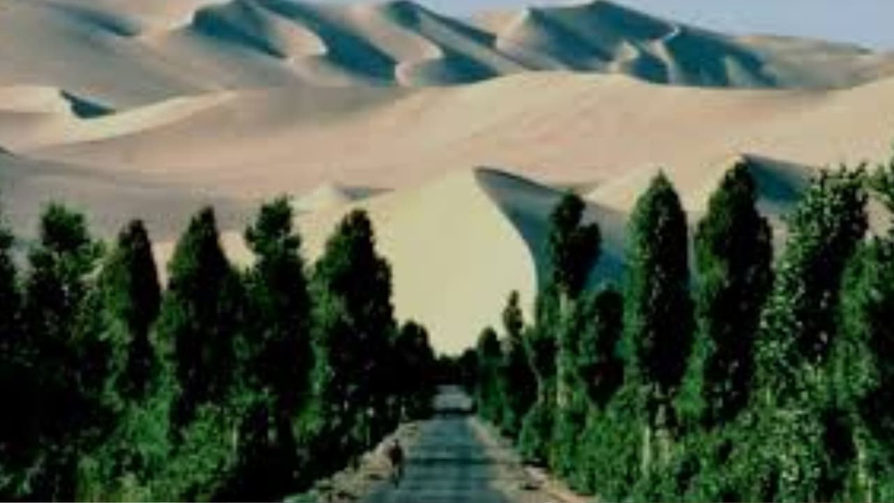 What is Aravali Green Wall What is Aravali Green Wall