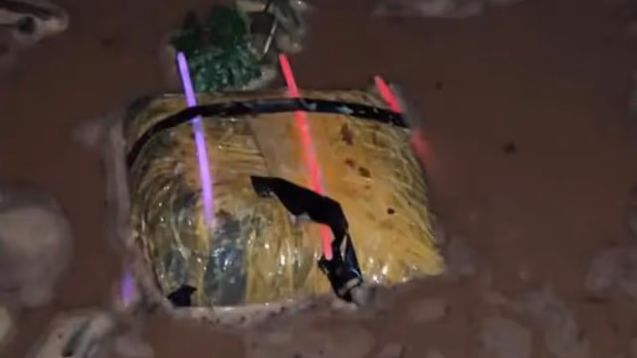 Bikaner Heroin Seizure Bikaner Heroin Seizure