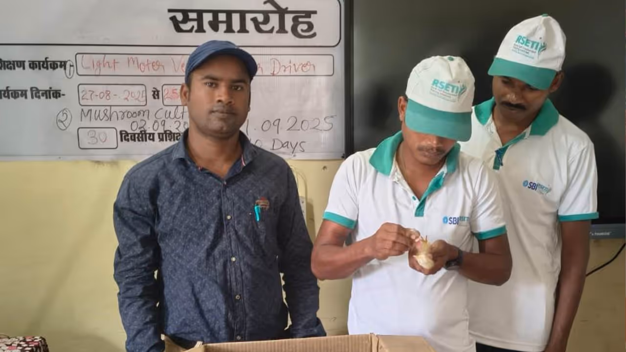 Chhattisgarh News 