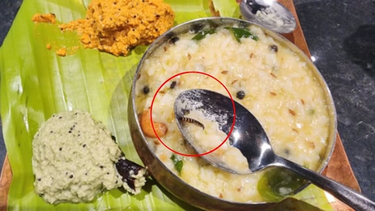 Airport café staff booked after worm found in food at Bengaluru KIA Airport café staff booked after worm found in food at Bengaluru KIA