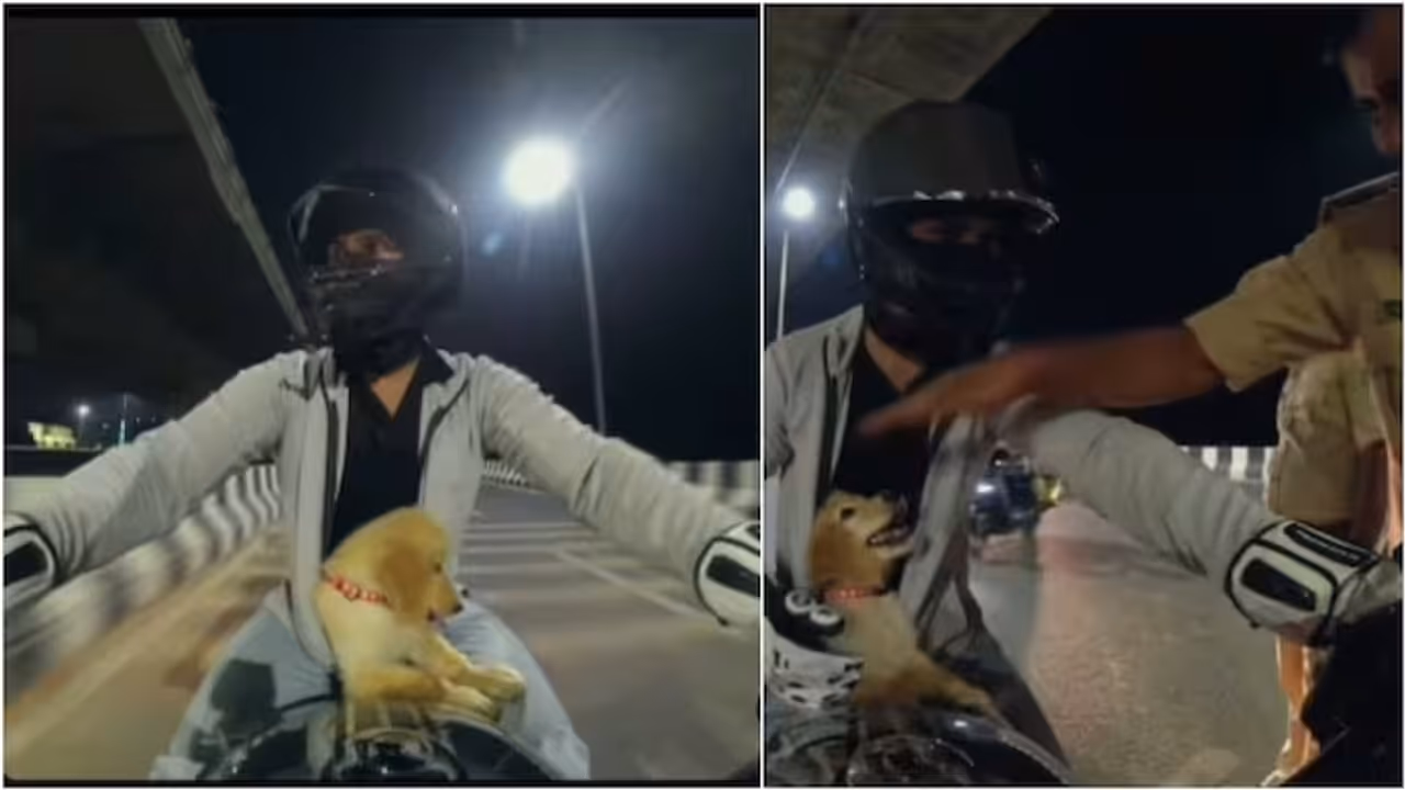 Watch: Biker Braces for Challan, Traffic Cops Stop Him Only to Meet Tiny Puppy Watch: Biker Braces for Challan, Traffic Cops Stop Him Only to Meet Tiny Puppy