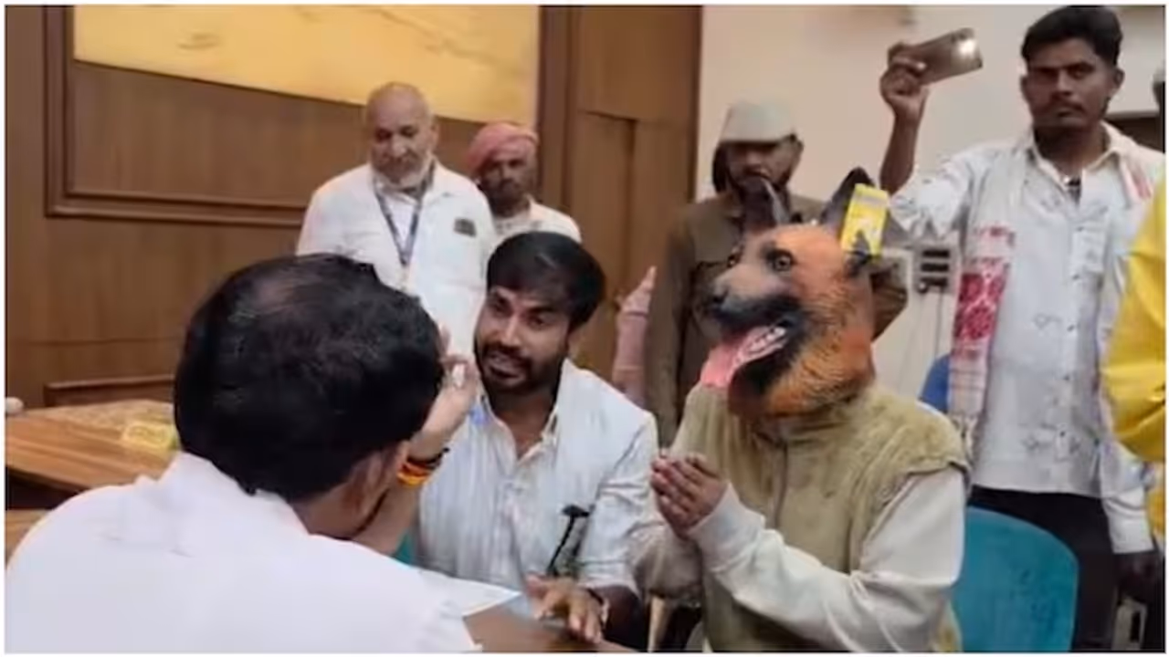 Man Dresses As Dog, Walks Into MP Public Hearing To Protest ₹40L Sterilisation Drive Man Dresses As Dog, Walks Into MP Public Hearing To Protest ₹40L Sterilisation Drive