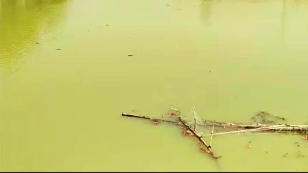 मासूम डूबा तालाब में