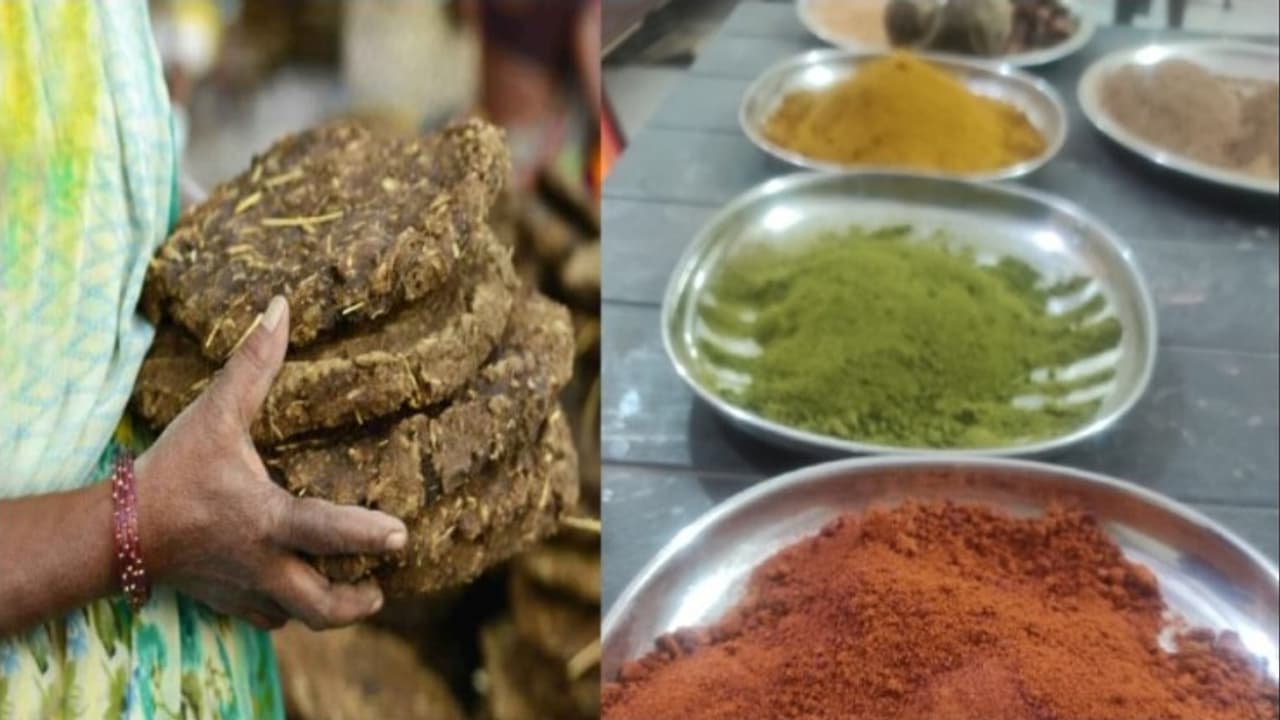 गोबर कलर गोबर कलर