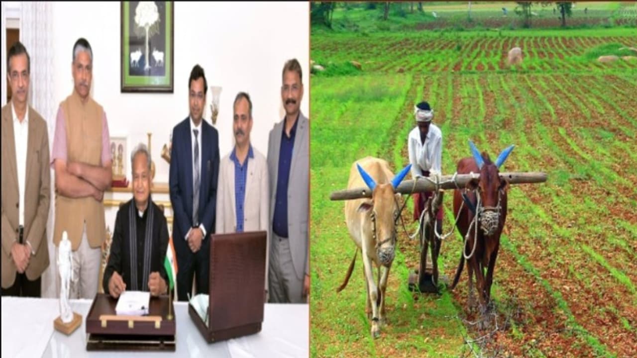 किसानेों