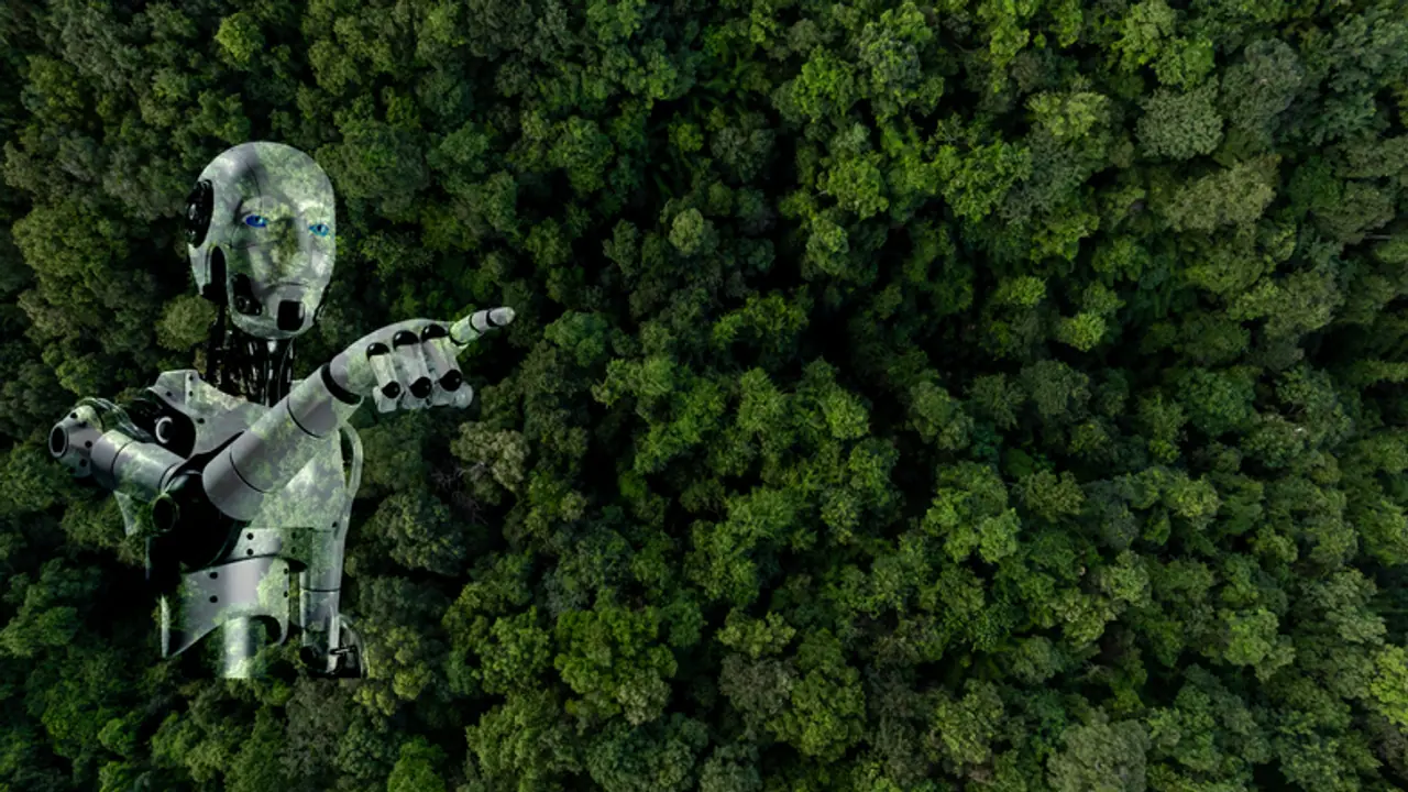 AI is saving small farms with climate change solutions in Tanzania