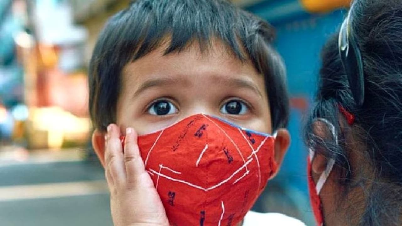 kerala tomato fever virus kerala tomato fever virus