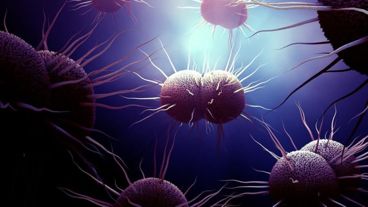 Sexually transmitted disease Sexually transmitted disease