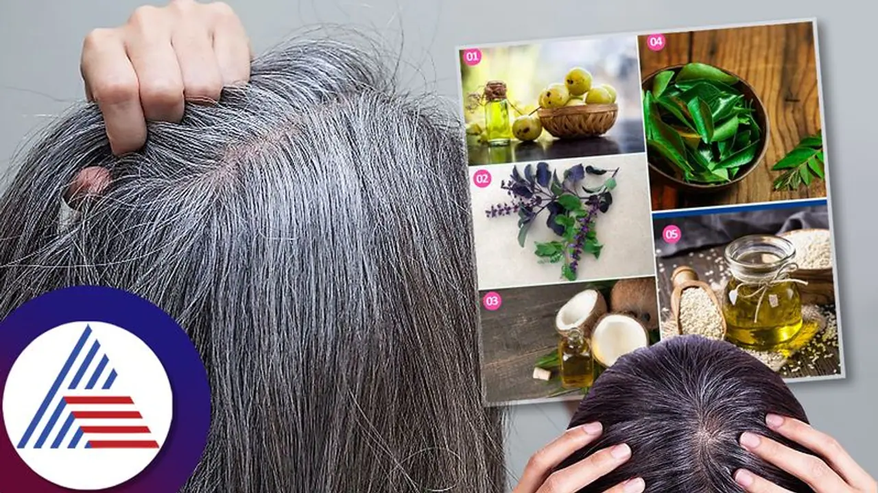 Eat these 4 things mixed with ghee every day while going to bed, you will get rid of white hair Eat these 4 things mixed with ghee every day while going to bed, you will get rid of white hair