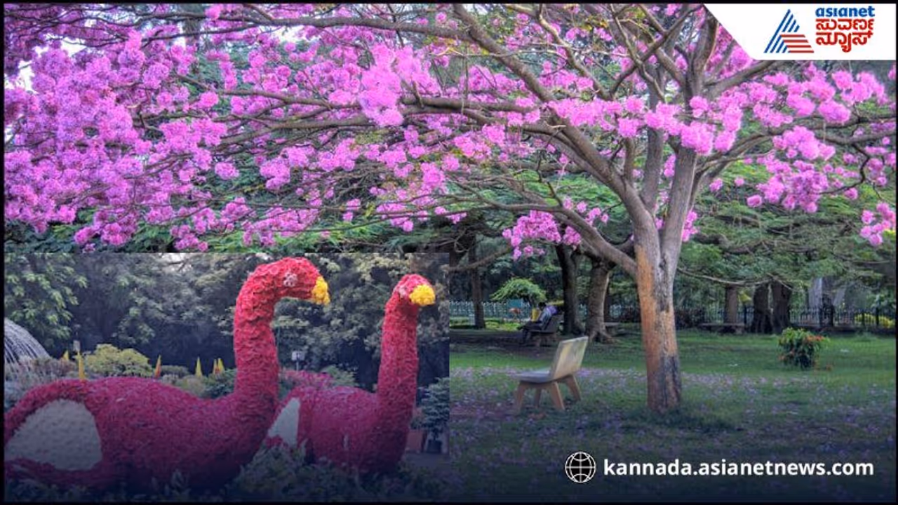 Cubbon Park Flower Show