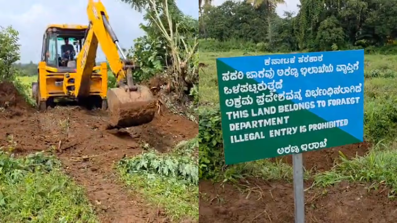 Sirsi Forest Land Sirsi Forest Land