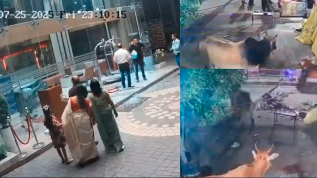 Raebareli Car Crash Hotel Lobby Raebareli Car Crash Hotel Lobby