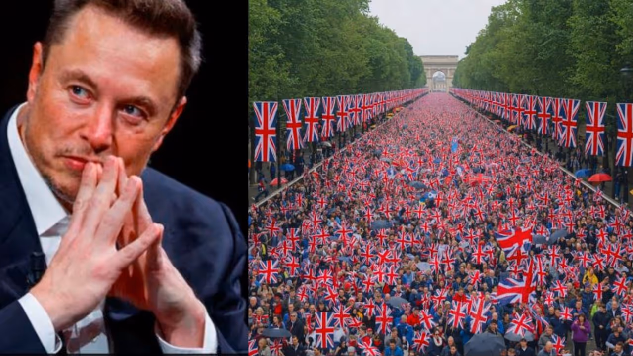 Elon musk on London Protests