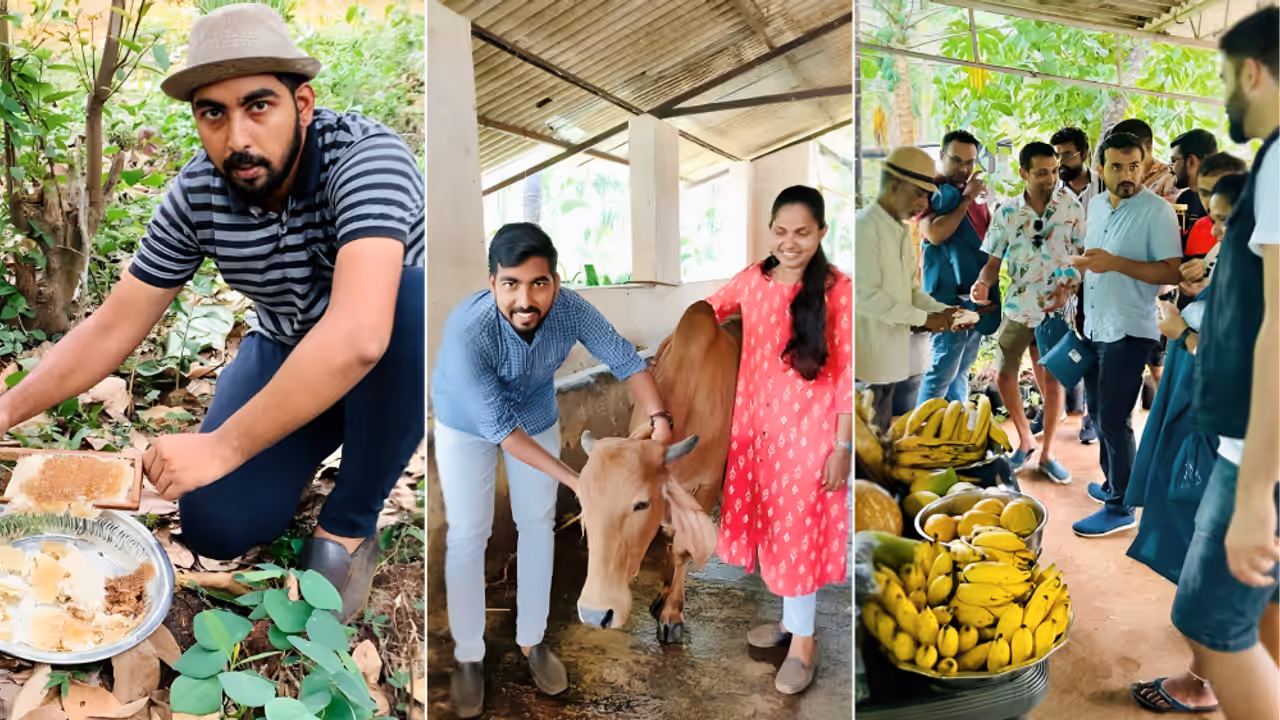 Bright Side Stories Goa family farming agri tourism beekeeping organic veggies Bright Side Stories Goa family farming agri tourism beekeeping organic veggies