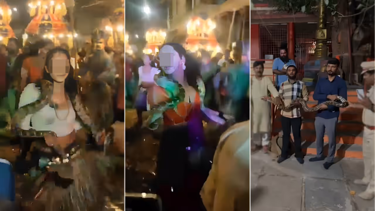 Hyderabad Ganesh Visarjan Python Video How GHSPCA Tracked Dance Group For 5 Days Hyderabad Ganesh Visarjan Python Video How GHSPCA Tracked Dance Group For 5 Days