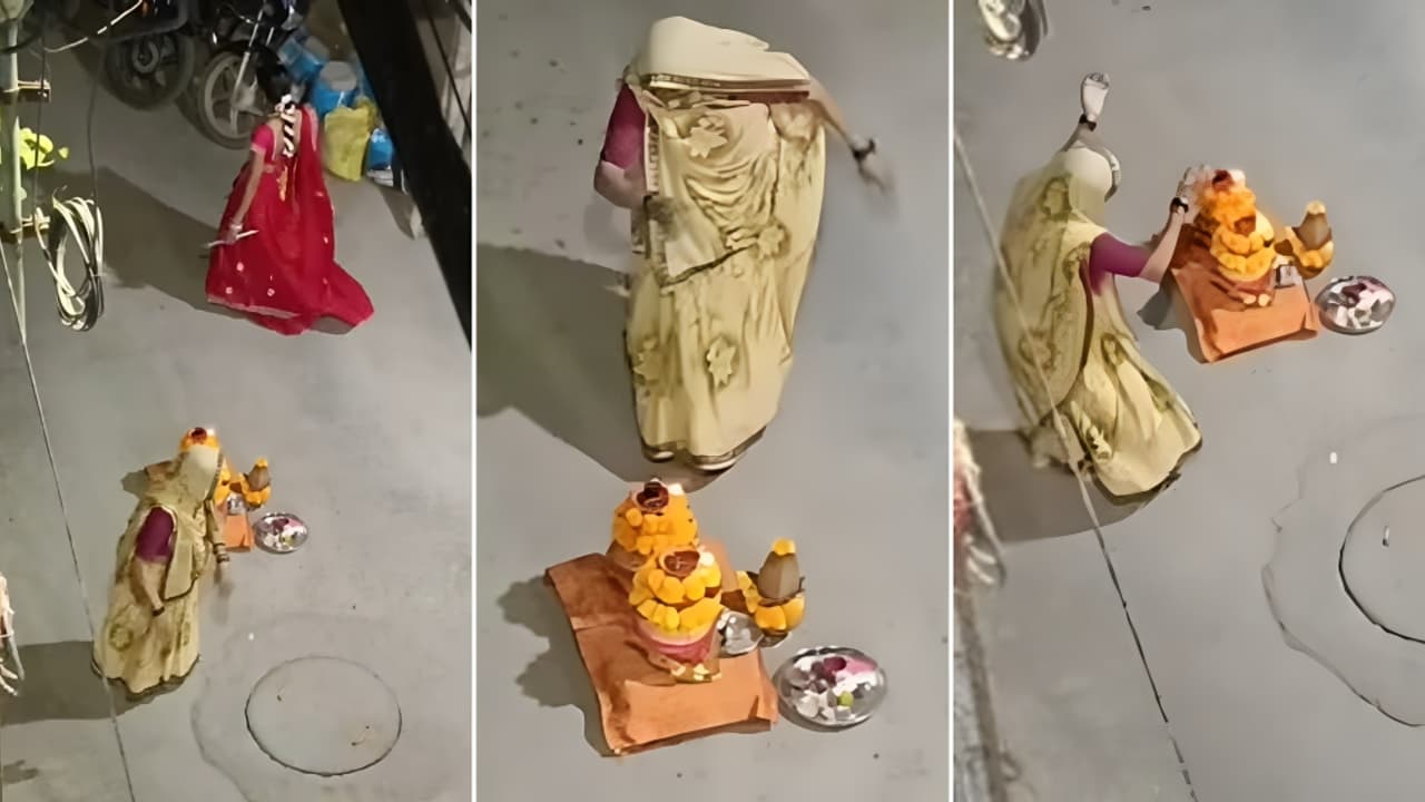 Elderly Woman Dances Garba Around Pooja Kalash As People Walk Past Viral Video Moves Viewers Elderly Woman Dances Garba Around Pooja Kalash As People Walk Past Viral Video Moves Viewers