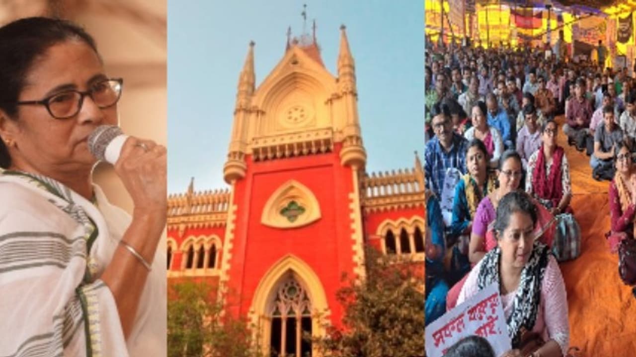 mamata banerjee and da protestors mamata banerjee and da protestors