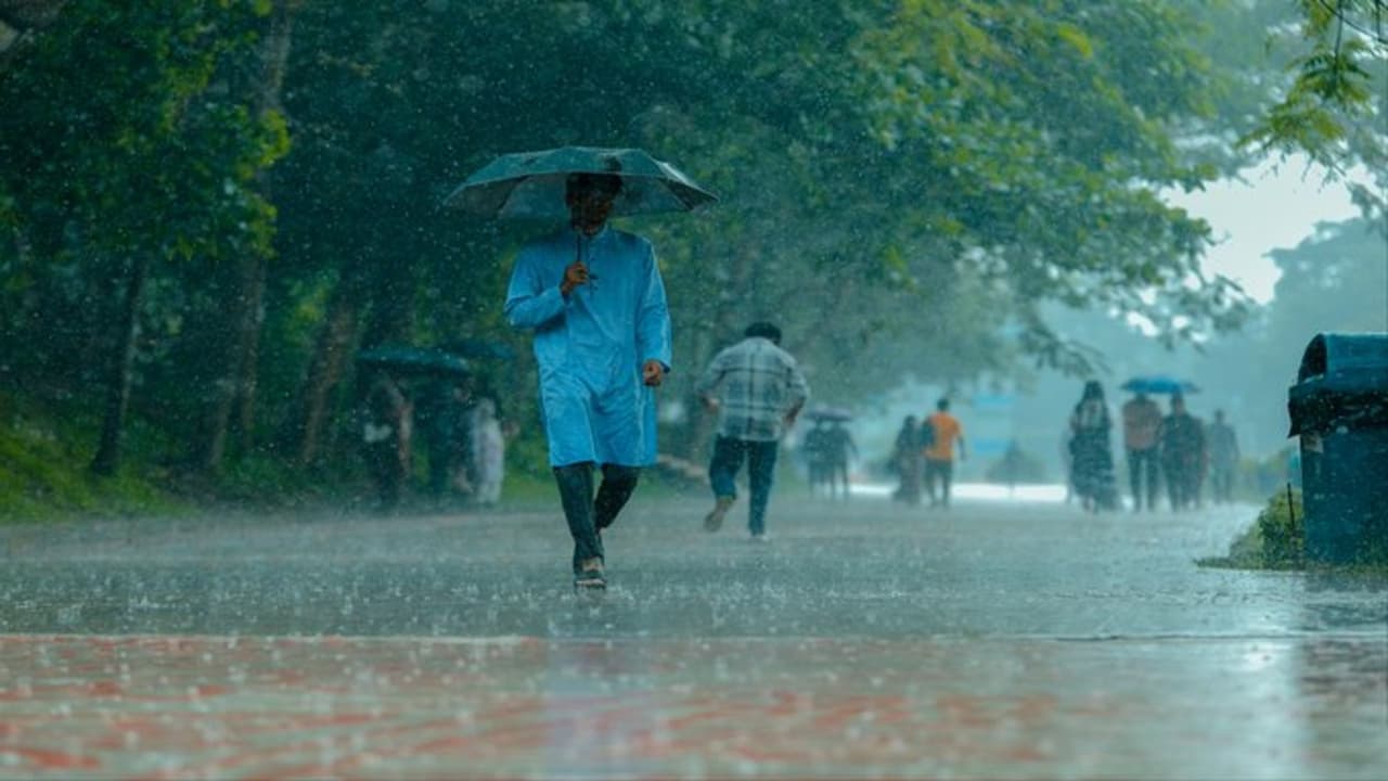 mumbai rain alert imd green alert thane palghar weather forecast high tide july 2026 mumbai rain alert imd green alert thane palghar weather forecast high tide july 2026