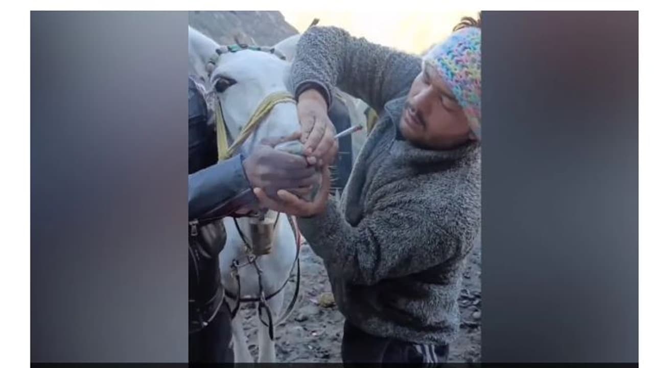 kedarnath trek horse