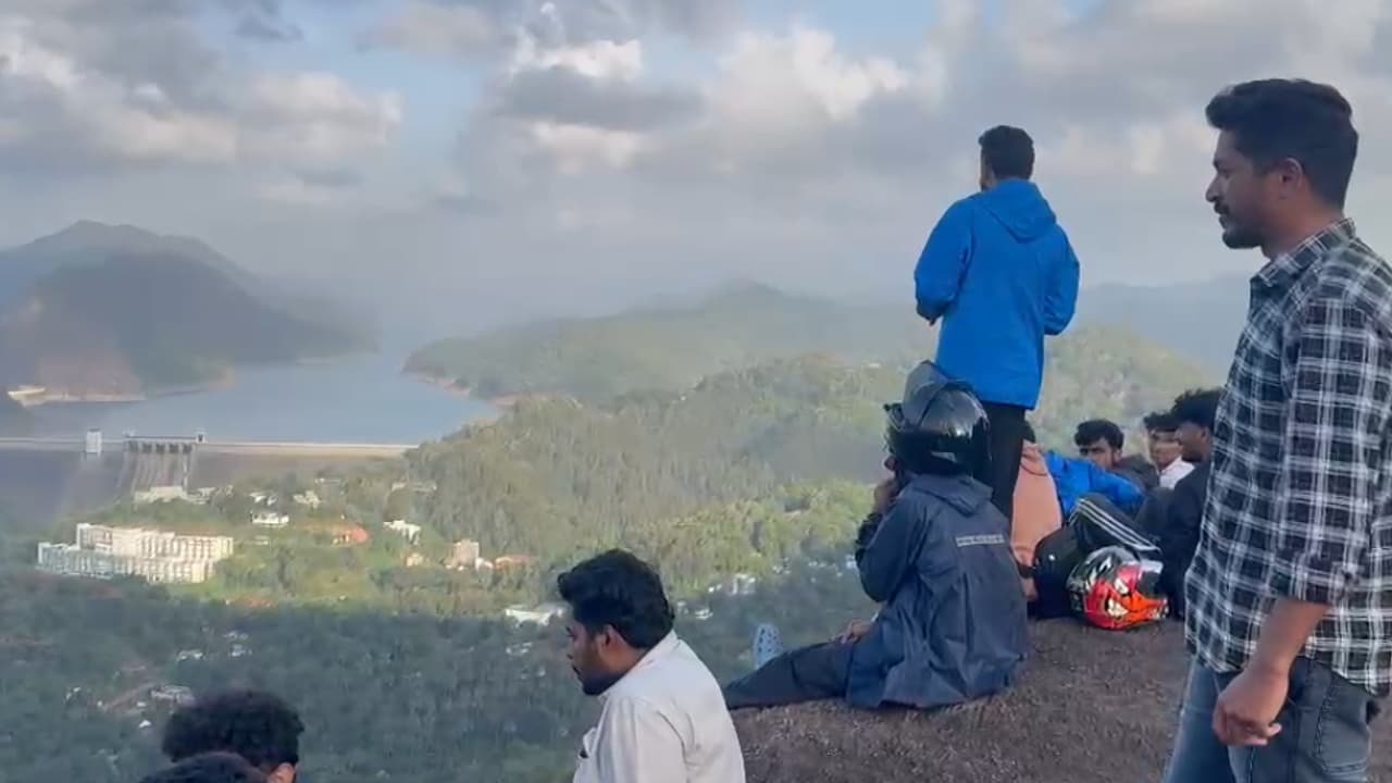 viral view point viral view point