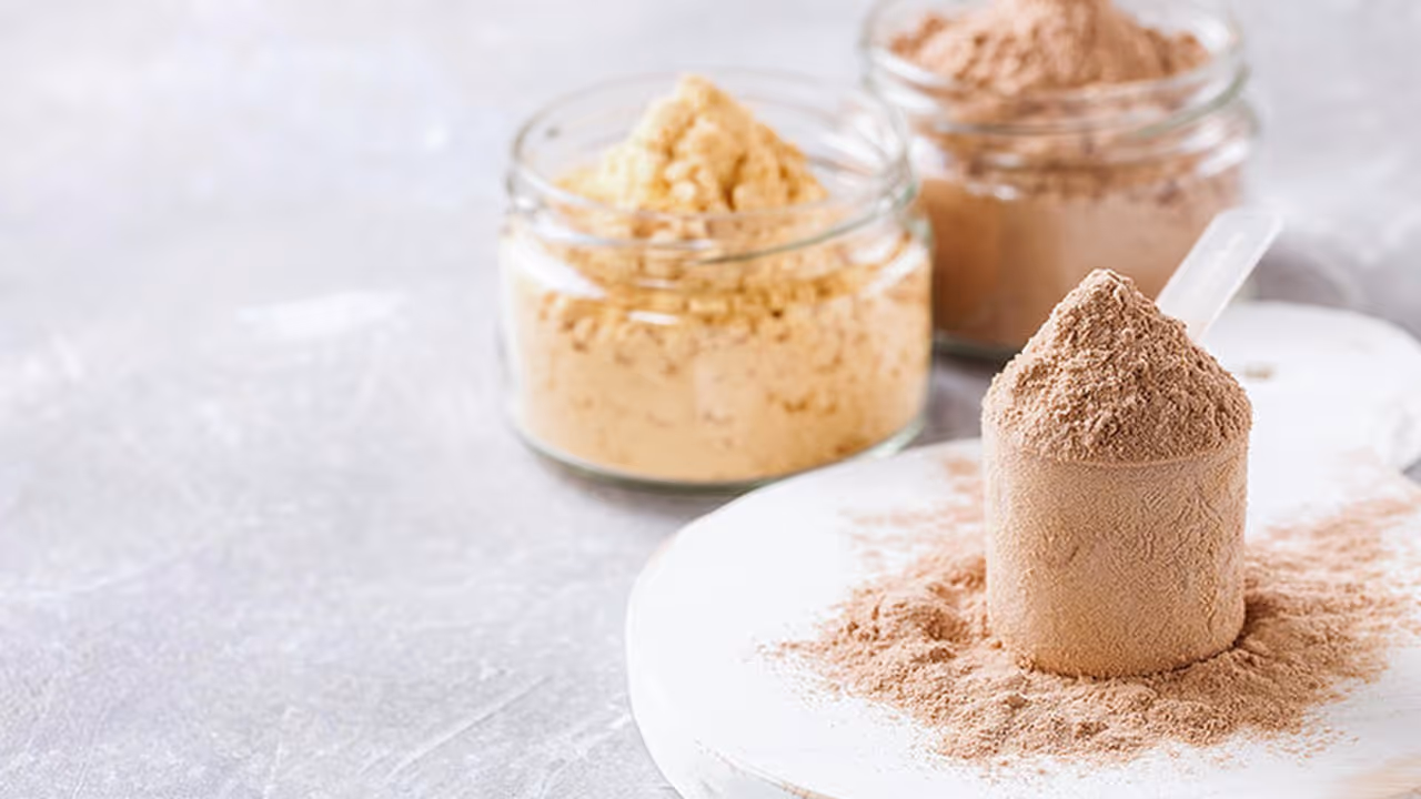 whey protein whey protein