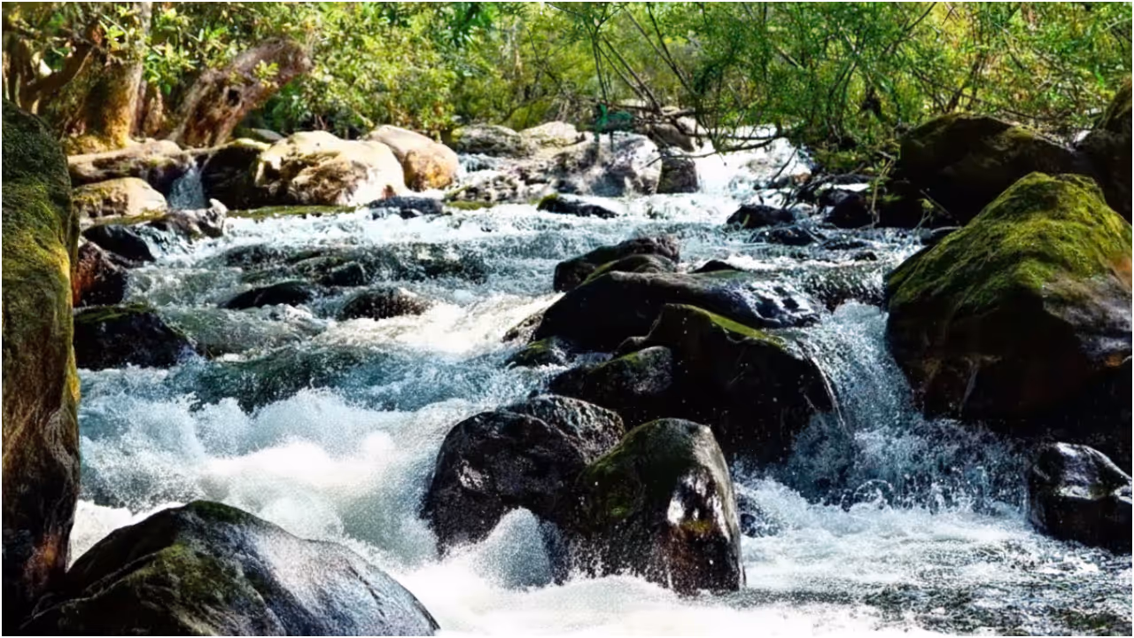 Meenvallam waterfall Meenvallam waterfall