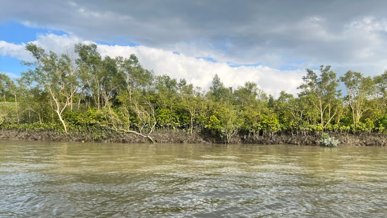 Sundarban Sundarban