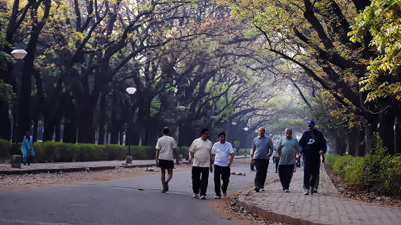 cubbon park cubbon park