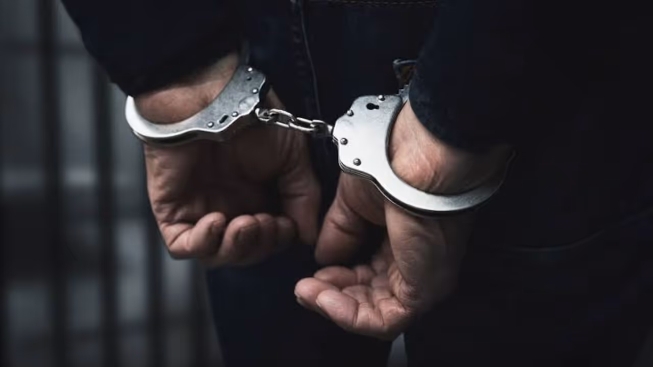 arrest arrest