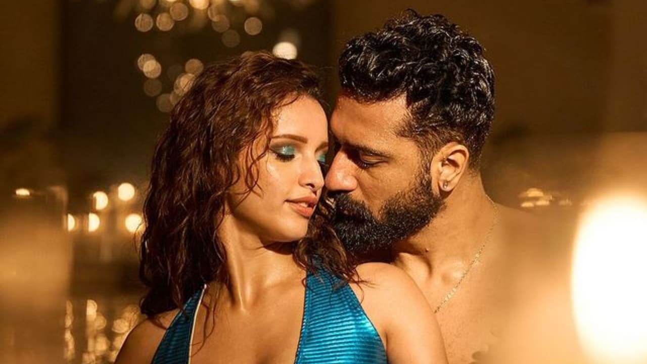 Triptii Dimari and Vicky Kaushal Upcoming Movie Triptii Dimari and Vicky Kaushal Upcoming Movie