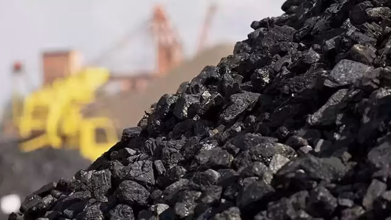 Coal Coal