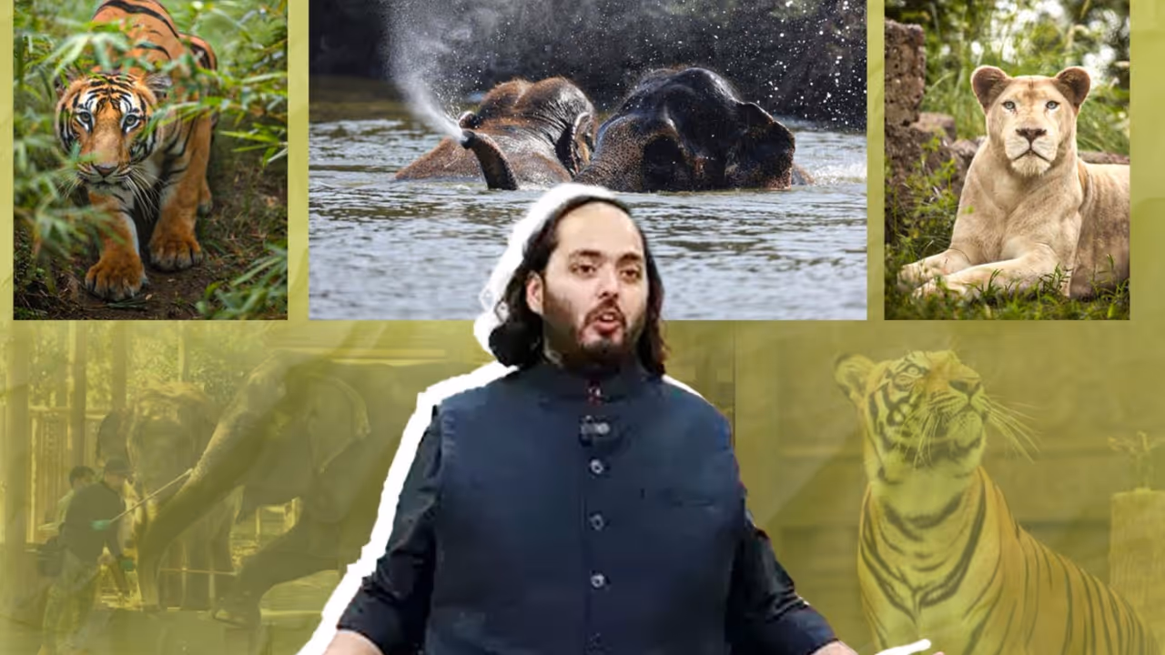 Vantara wildlife sanctuary