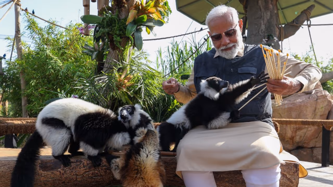 Vantara cost and features