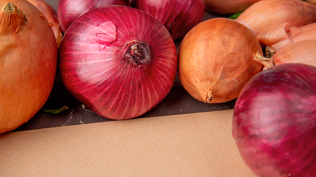 onion storage tips for rainy season onion storage tips for rainy season