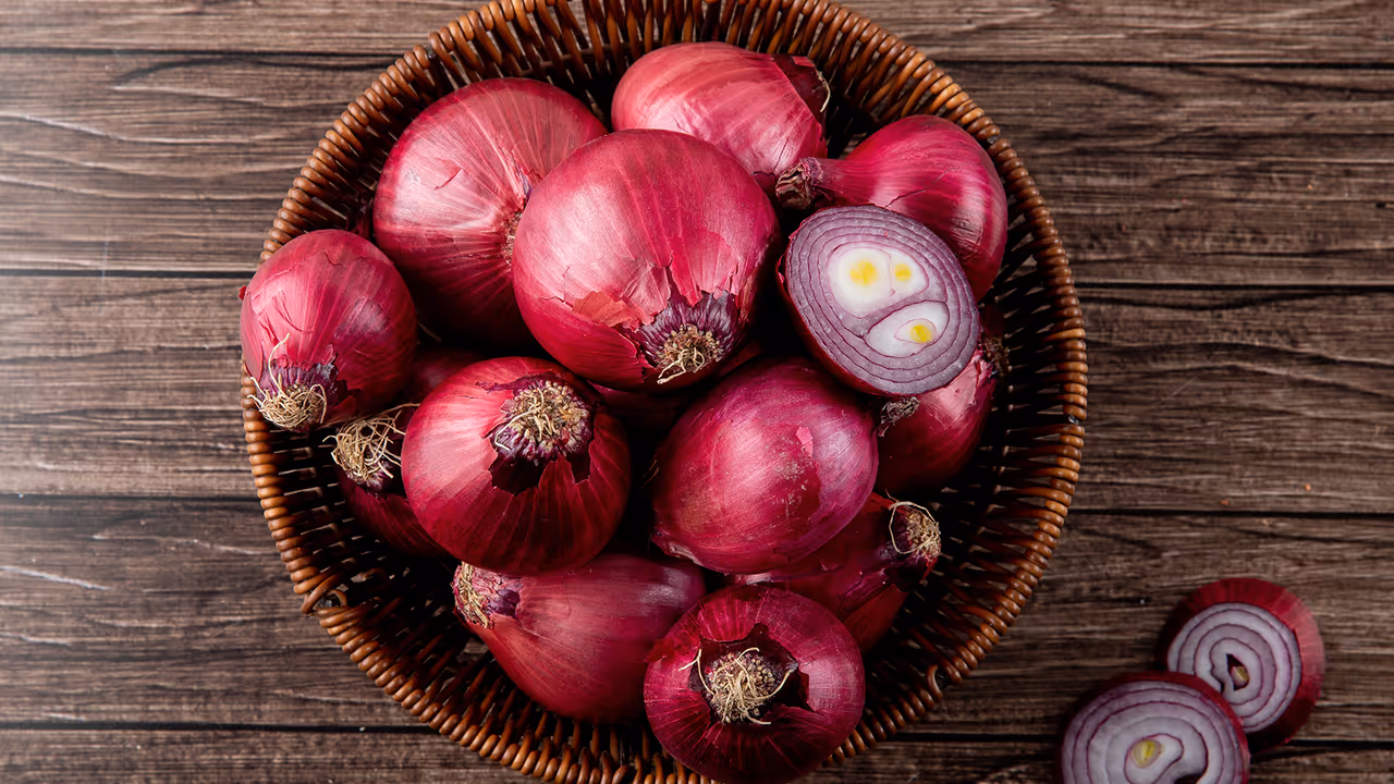 onion storage tips for rainy season onion storage tips for rainy season