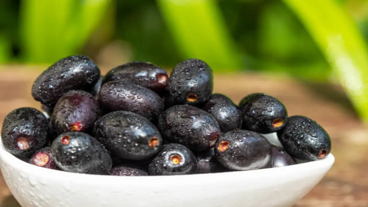 jamun benefits and nutritional effects jamun benefits and nutritional effects