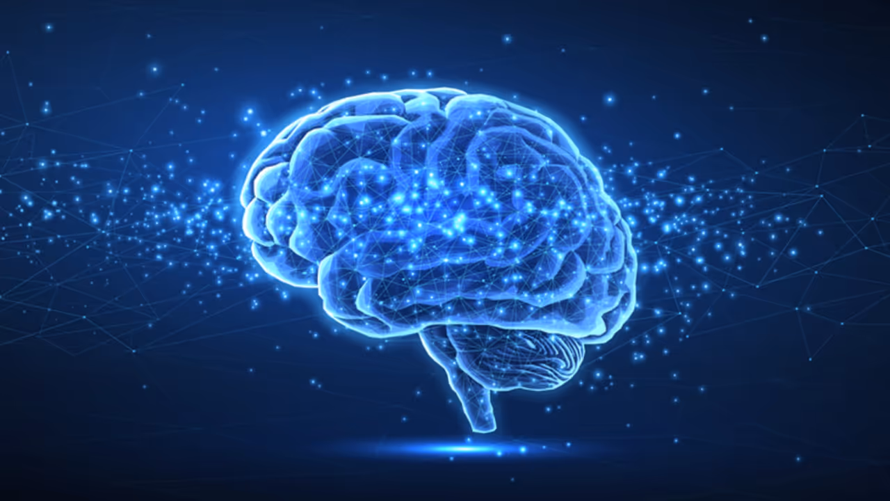 Lab grown human brain