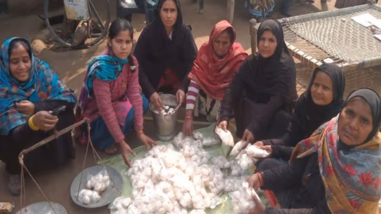 Success Story Success Story