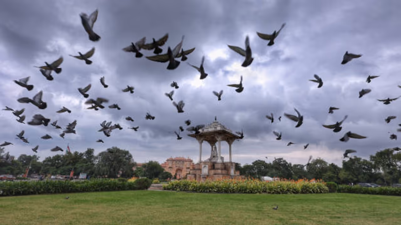 Rajasthan Monsoon Alert