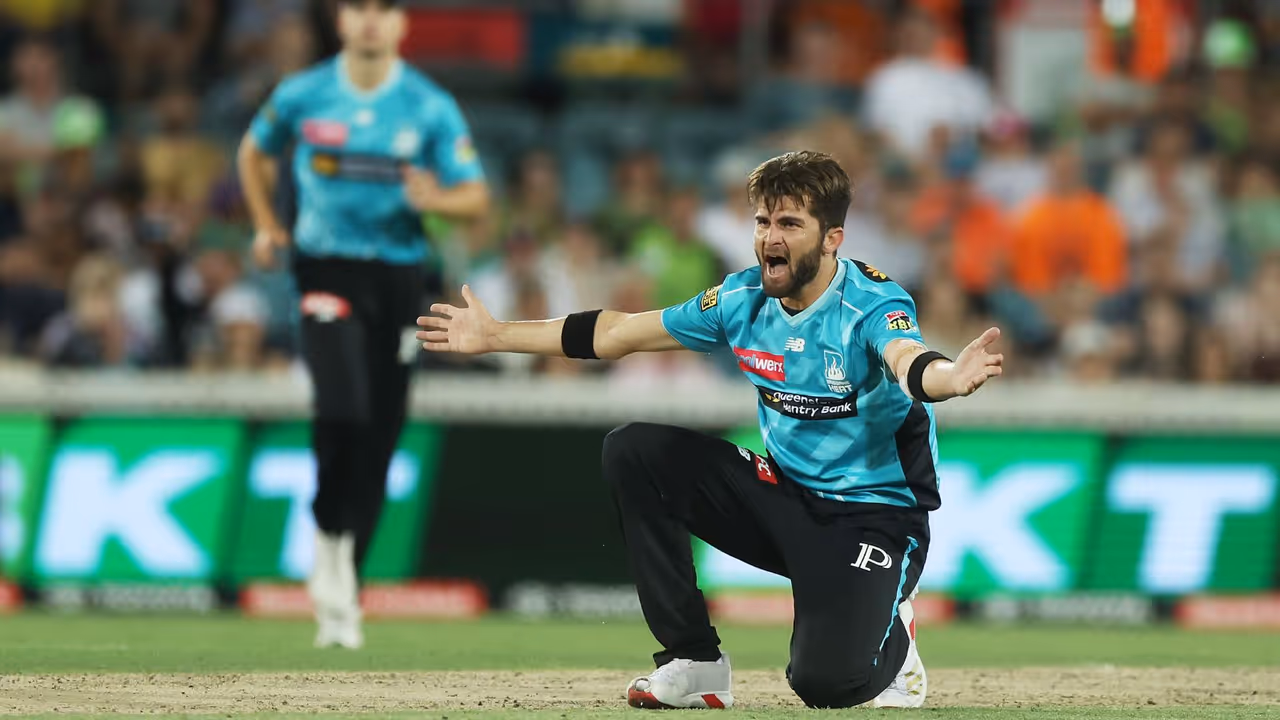 shaheen afridi shaheen afridi