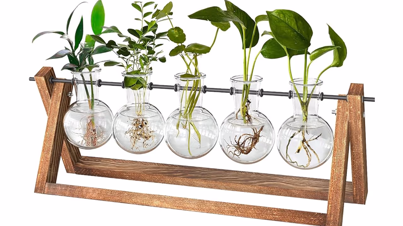 Wooden Planter Ideas for Indoor Plants under 1K for Extreme modern home decor Wooden Planter Ideas for Indoor Plants under 1K for Extreme modern home decor