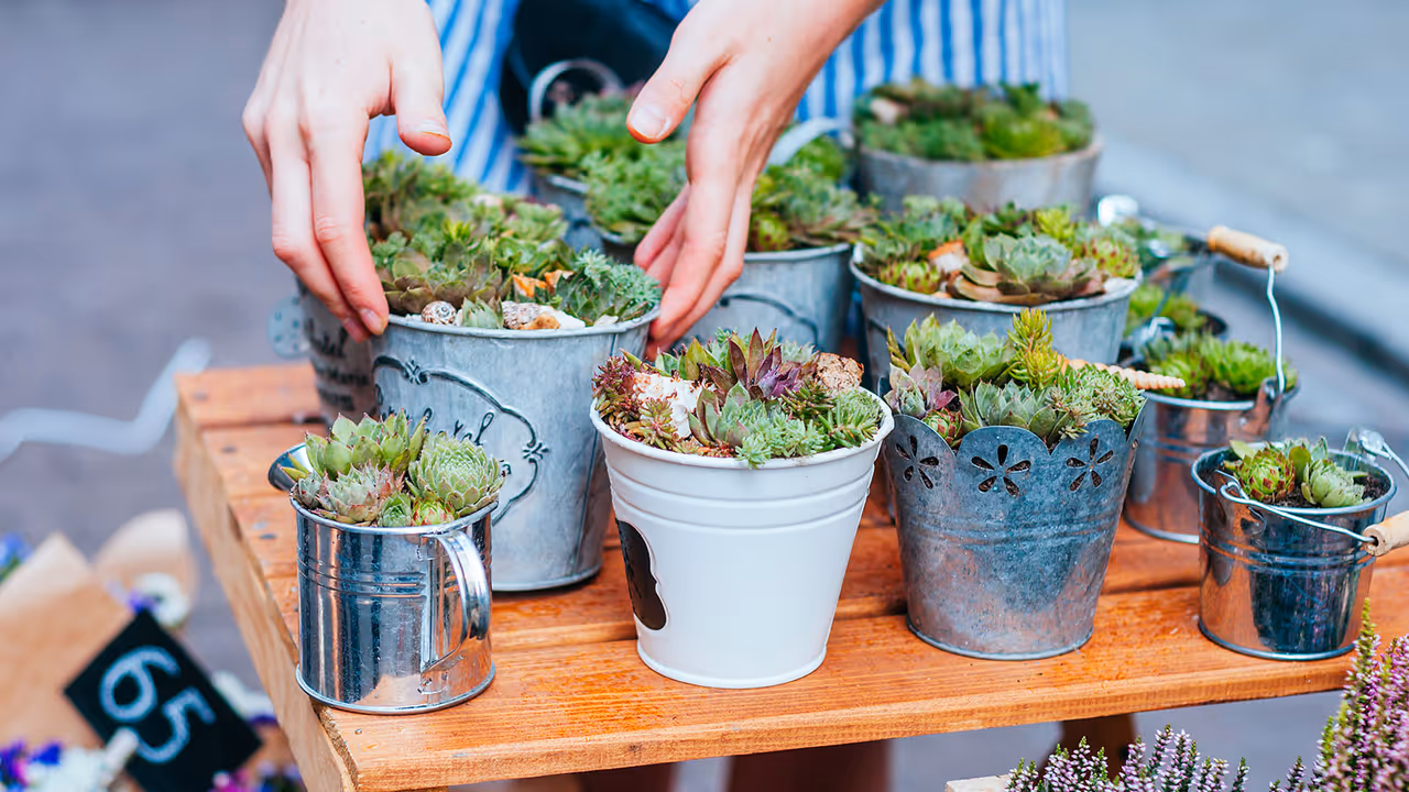 DIY Planter Ideas DIY Planter Ideas