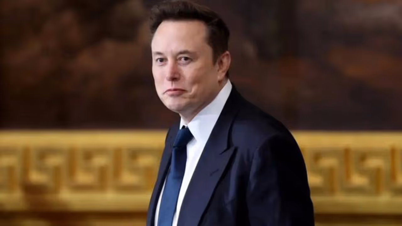 elon musk elon musk