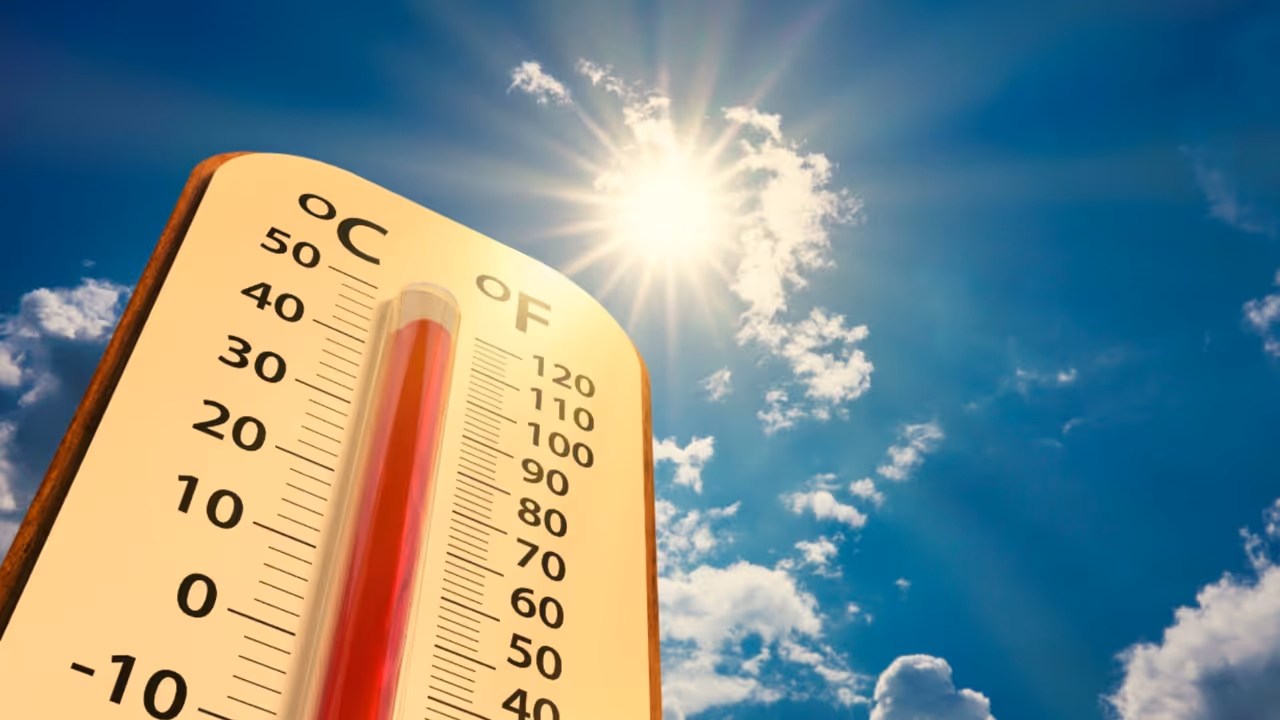 IMD Heatwave Alert IMD Heatwave Alert