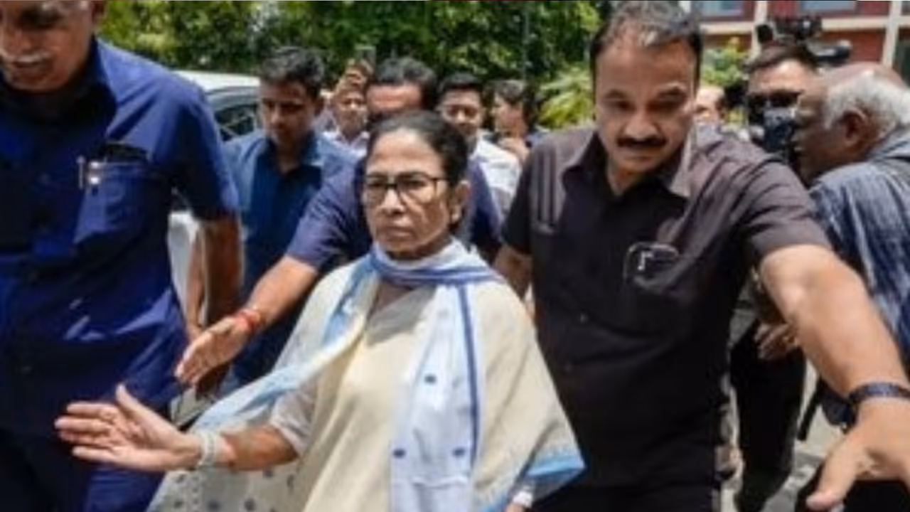 TMC Crisis TMC Crisis