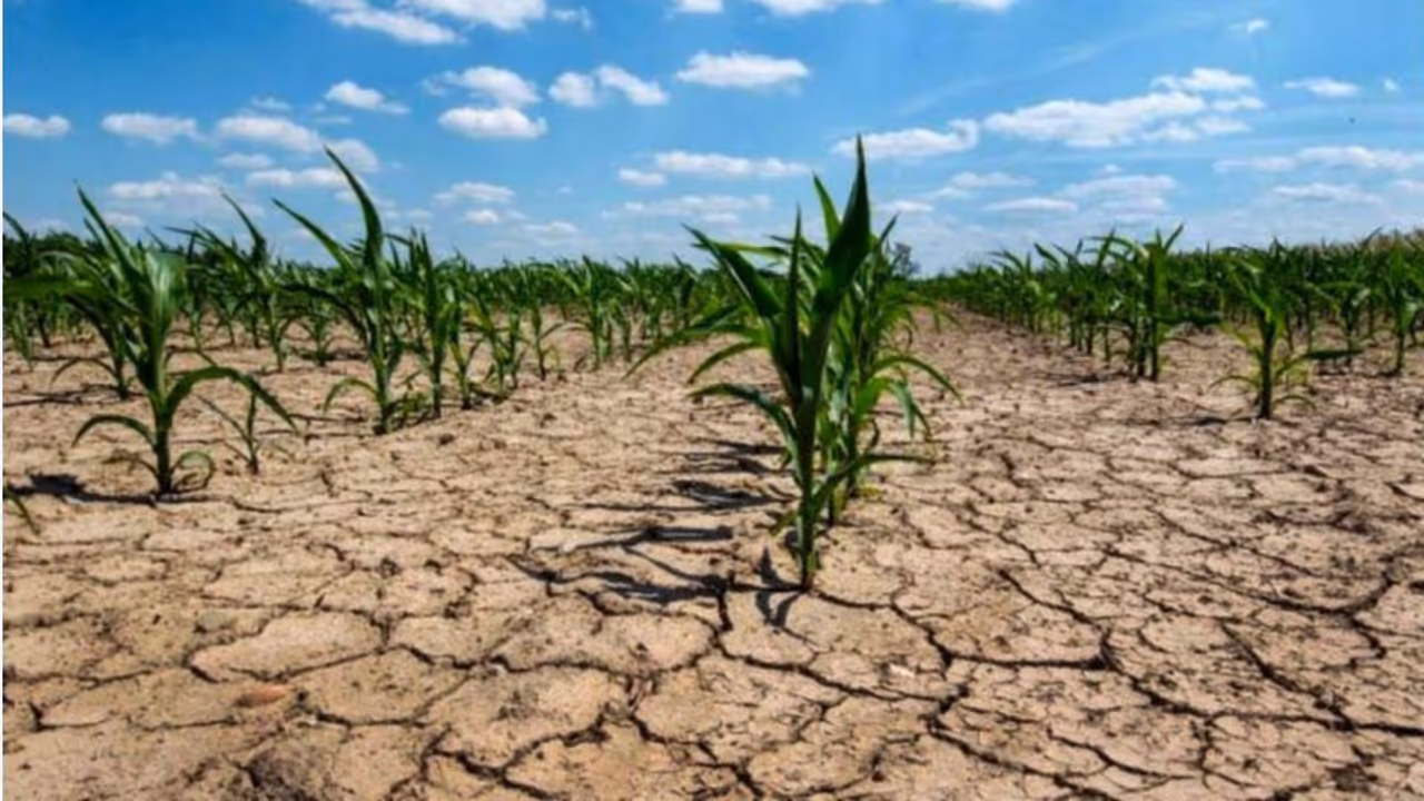 Drought Drought