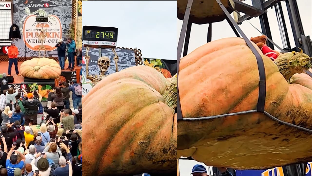 See the world s heaviest pumpkin named Michael Jordan in the viral video bsm See the world s heaviest pumpkin named Michael Jordan in the viral video bsm
