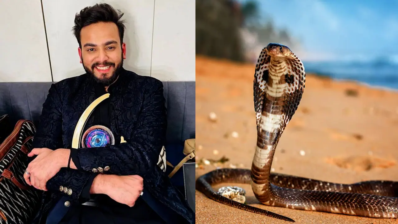 Complaint filed against Elvish Yadav for intoxication of snake venom at rave party bsm Complaint filed against Elvish Yadav for intoxication of snake venom at rave party bsm