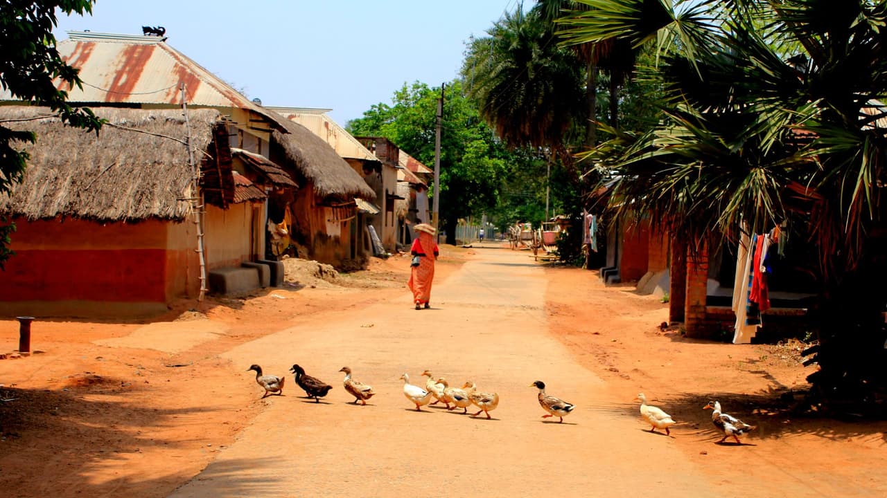 গ্রাম গ্রাম