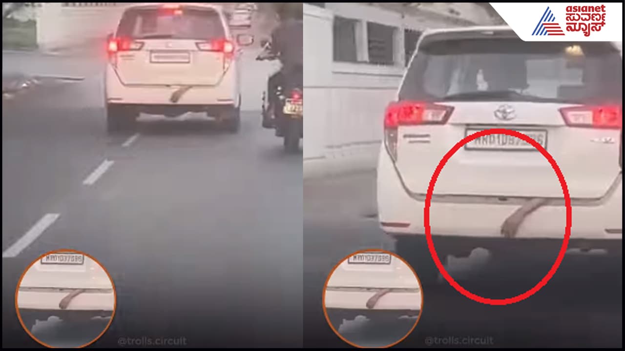 Prank Video of Hand Hanging 